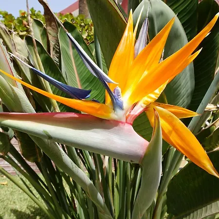 Ecuador דירה פלאייה דל אינגלז